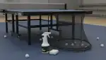 Nie mehr Bälle jagen: Tischtennis Ballfangnetze im Fokus